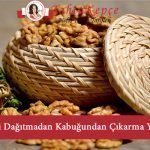 ceviz içi
