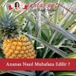 ananas saklama