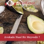 avokado nasıl yenir