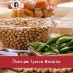 östrojen besinleri