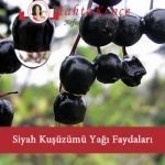 kuş üzümü yağı faydaları