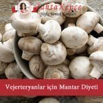 diyet listesi