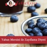 yaban mersini ile kilo verme
