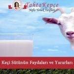 keçi sütü