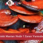 reishi