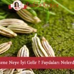 rezene