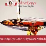 sirkenin faydaları
