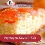 kayısılı kek