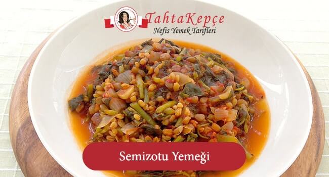 semizotu