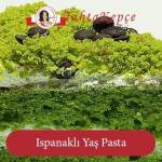 yaş pasta tarifi