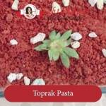 Toprak Pasta tarifi