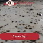 ayran aşı tarifi