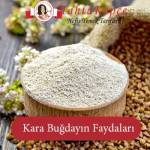Kara Buğdayın Faydaları