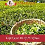 yeşil çay faydaları
