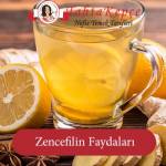 Zencefilin Faydaları Nelerdir
