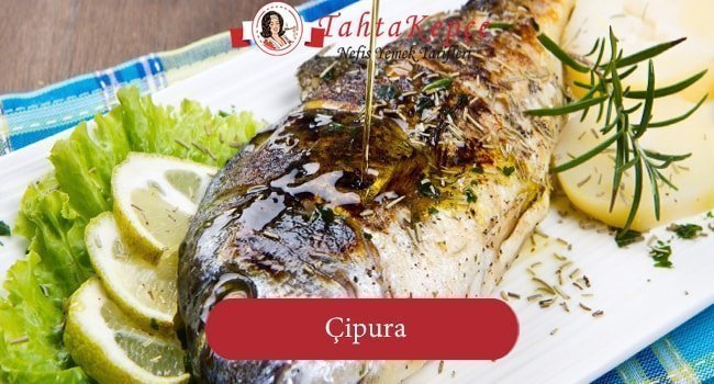 Çipura nasıl yapılır