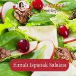 ıspanak salatası tarifi