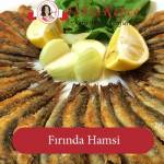 fırında hamsi tarifi