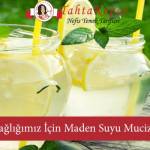 Sağlığımız İçin Maden Suyu Mucizesi