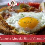 yumurta içerisindeki sihirli vitaminler