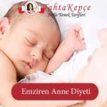 Emziren Anne Diyeti