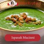 ıspanak çorbası tarifi