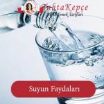 Suyun Faydaları