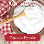Yoğurdun Faydaları