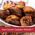 kuru incir