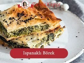 ıspanaklı börek tarifi