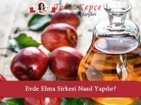evde elma sirkesi