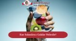 kan sulandırıcı besinler