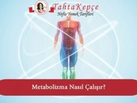 metabolizma çalışma