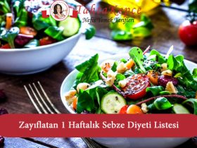 sebze diyeti