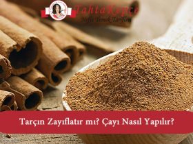 tarçın diyeti