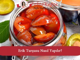 erik turşusu