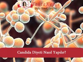 candida diyeti