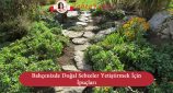 doğal sebzeler