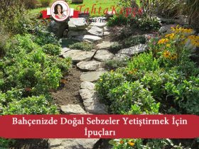 doğal sebzeler