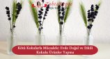 kötü kokularla mücadele