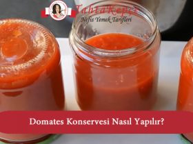 domates konservesi