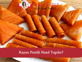 kayısı pestili
