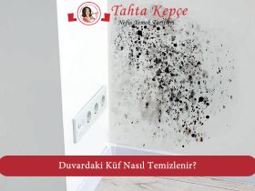 duvardaki küf