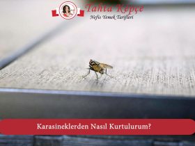 karasinek tuzağı