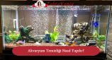 akvaryum temiz