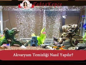 akvaryum temiz