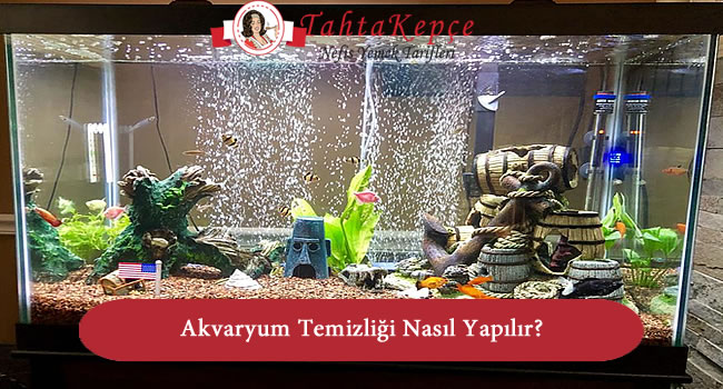 akvaryum temiz
